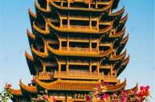 泸州武汉游玩攻略(武汉游玩攻略路线)