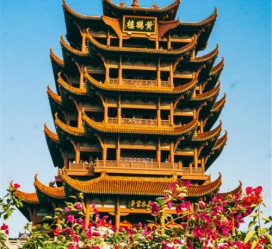 泸州武汉游玩攻略(武汉游玩攻略路线)