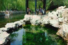 泸州济南旅游攻略(青岛威海济南旅游攻略)