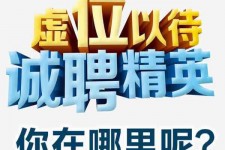 泸州酒店雇用伴游的性量(雇用伴游什么样子的是实的)