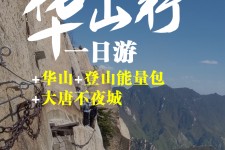 泸州一日游(一日游需要准备些什么东西?)