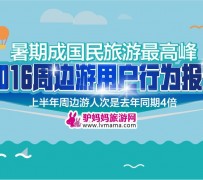 泸州周边游(周边游哪里有免费好玩的地方)