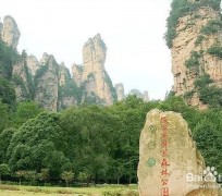 泸州自驾旅游攻略(自驾旅游攻略app排行榜)