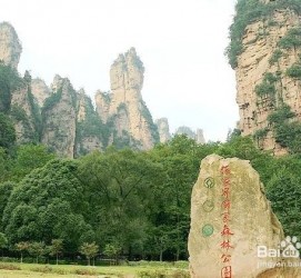 泸州自驾旅游攻略(自驾旅游攻略app排行榜)