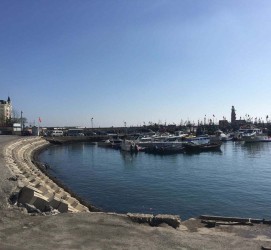 泸州大连旅游攻略(大连旅游攻略自由行)