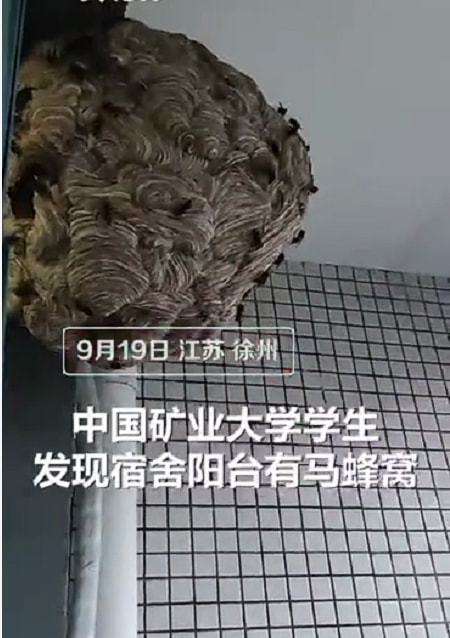 马蜂窝伴游中国(马蜂窝旅行)
